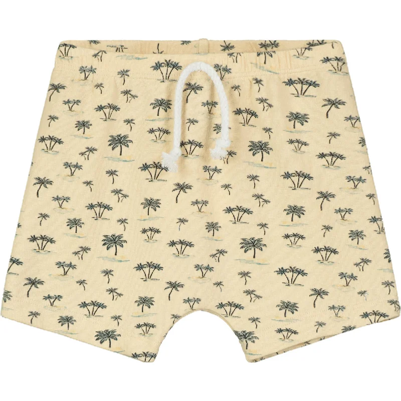 Kenley Shorts in Latte Islands